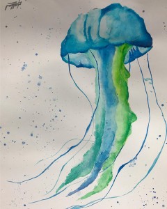 jellyfish