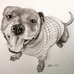 Pet drawing workshop