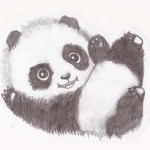 Panda Drawing