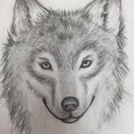 Wolf drawing